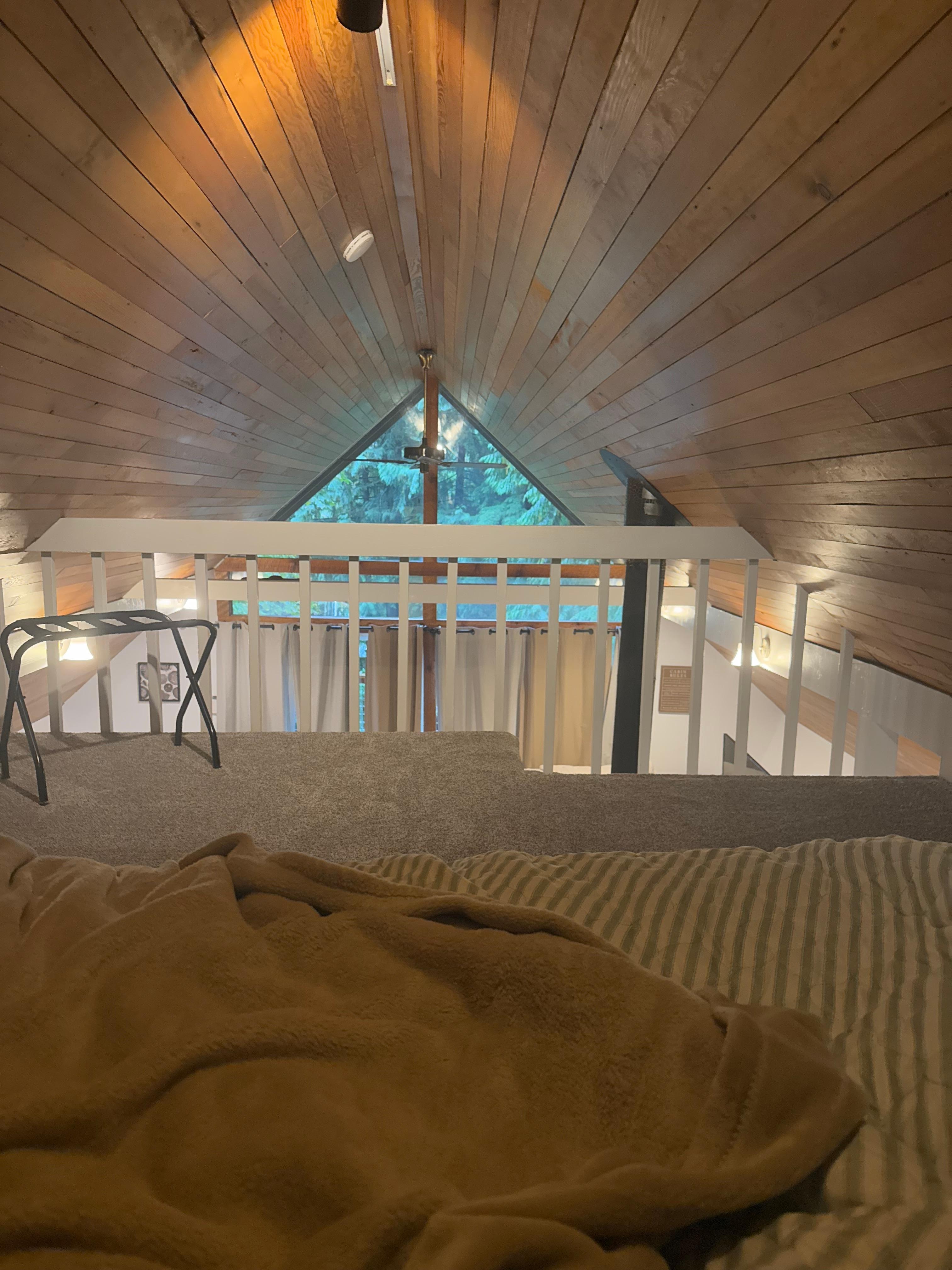 View from the loft bed