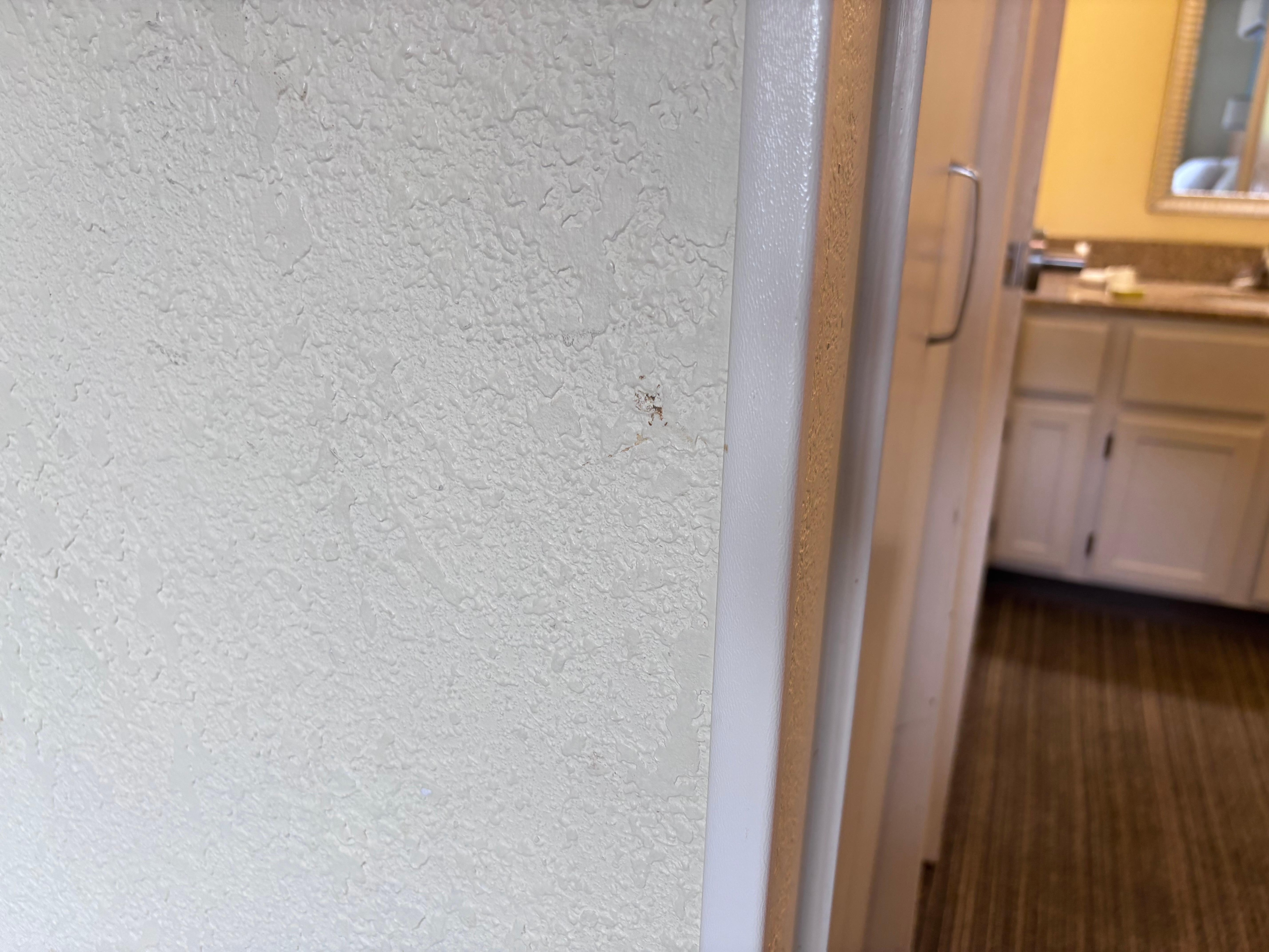 No clue what is on the wall