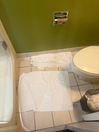 Leak in bathroom floor don’t know if it would come from wall or toilet