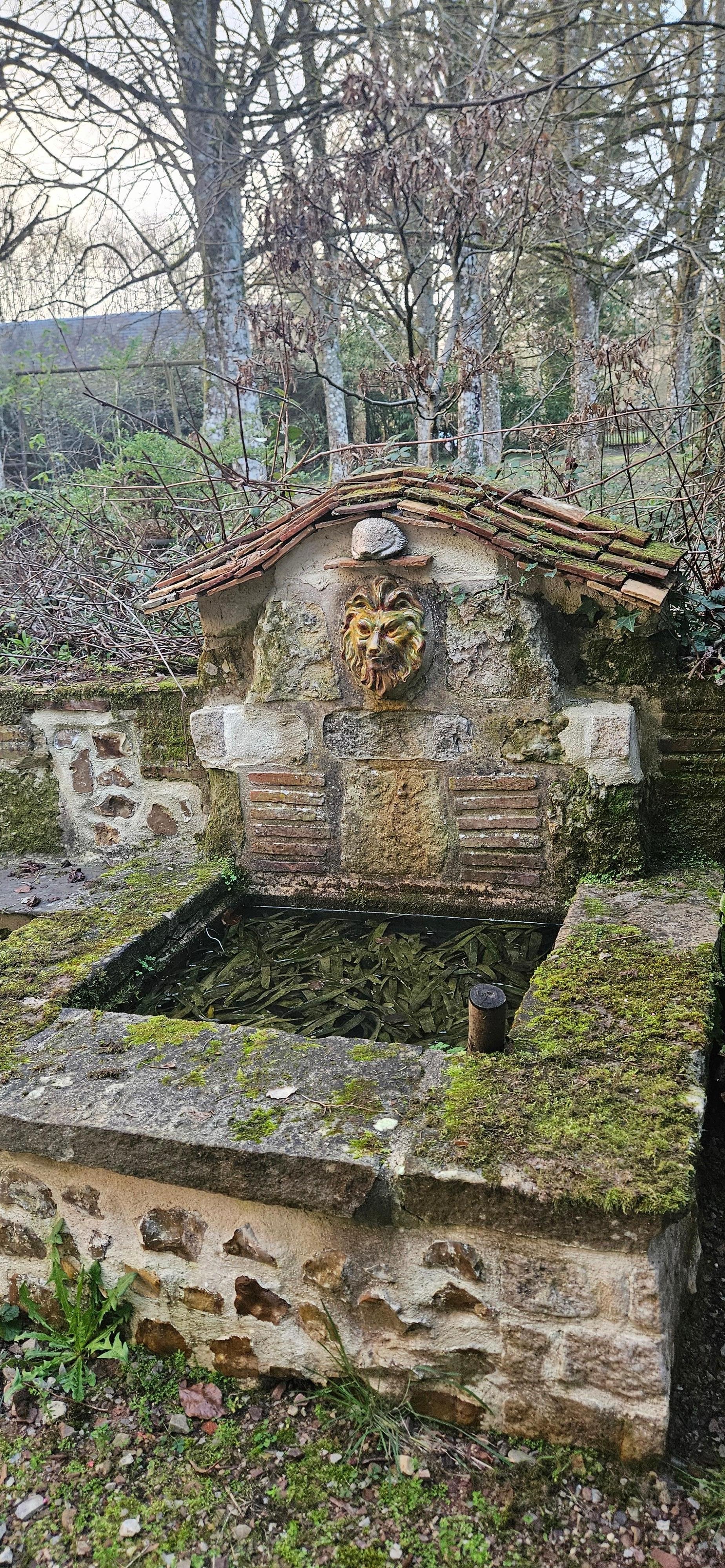 Fontaine dans le jardin