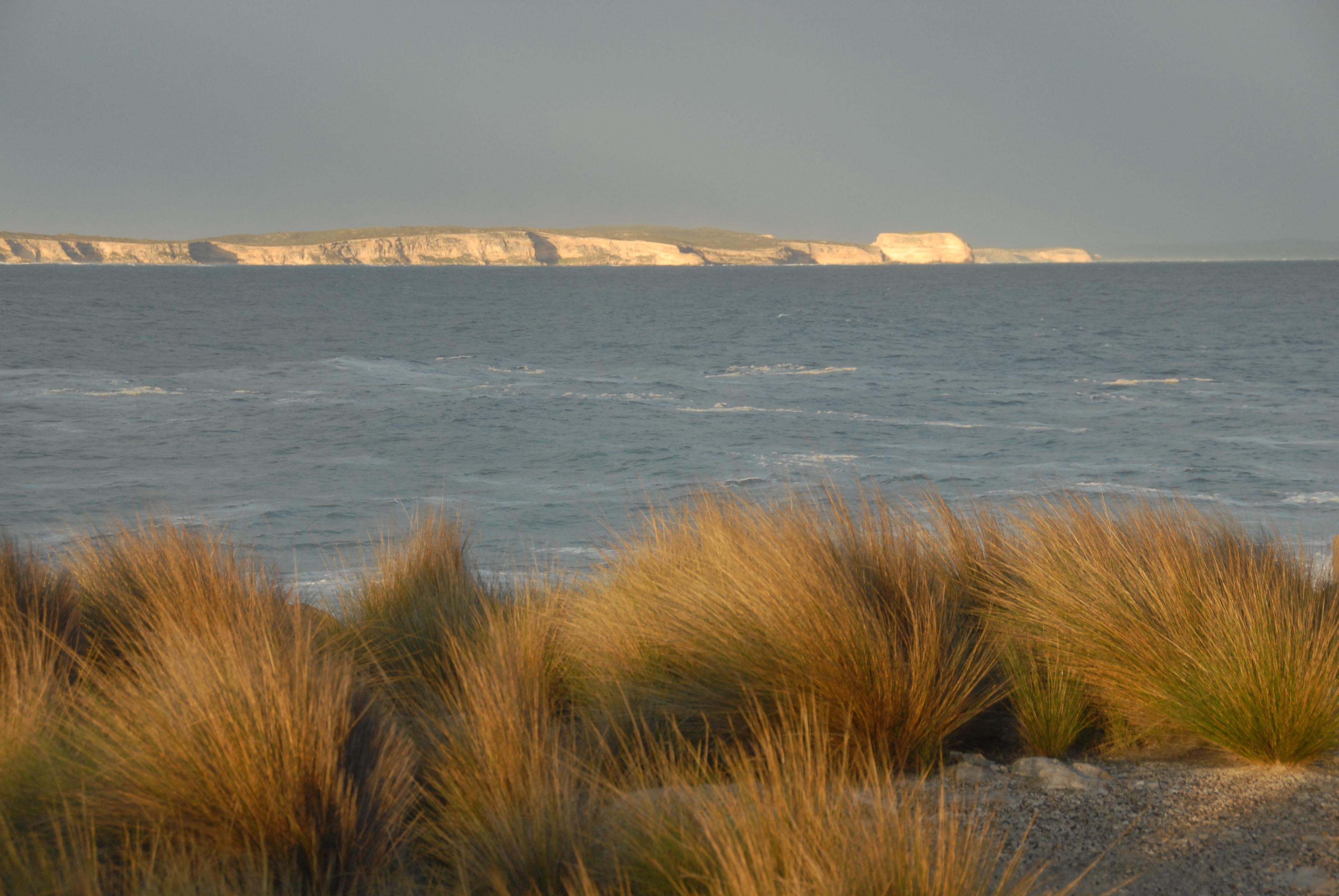 View back towards the beach from the Jetty area at sunset