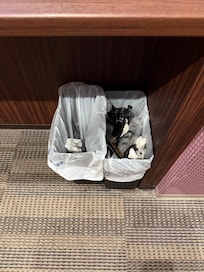 The rubbish bin is uncleared. Still have the rubbish from last guest!