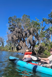 Kayaking Kings spring, a short paddle away from the dock. Lots of manatee!
