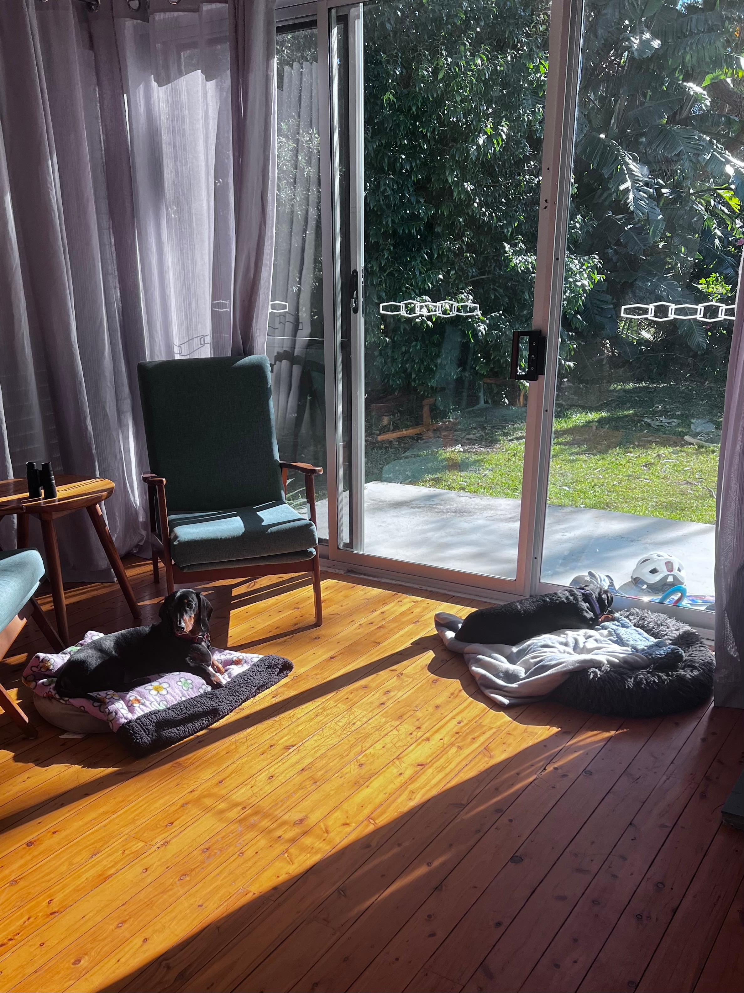 Doggie sleep time In the sun after a big beach run! 