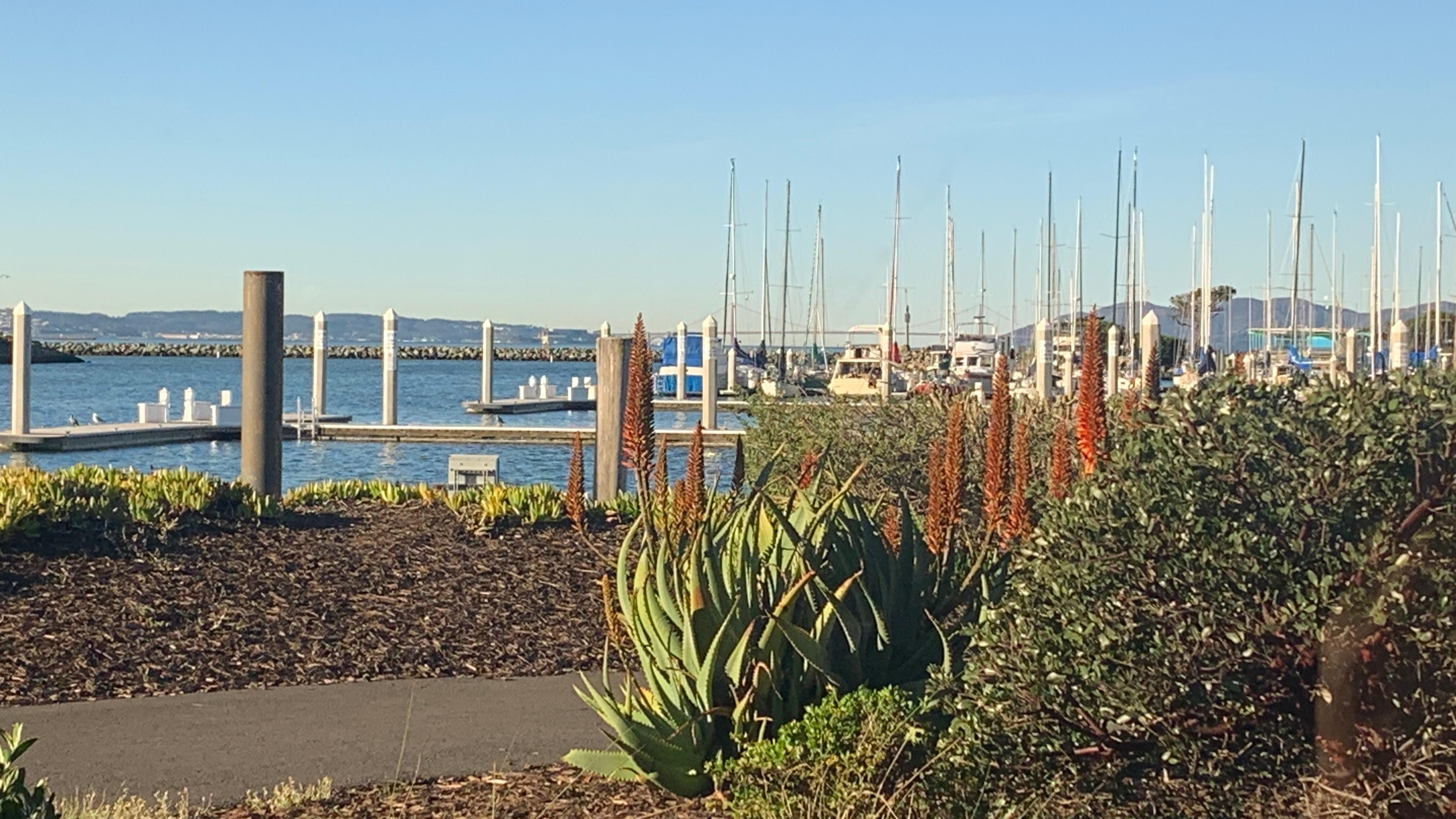 Beautiful view of the Golden Gate Bridge from the Boathouse restaurant 