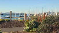 Beautiful view of the Golden Gate Bridge from the Boathouse restaurant