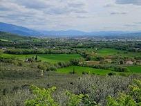 fabulous view