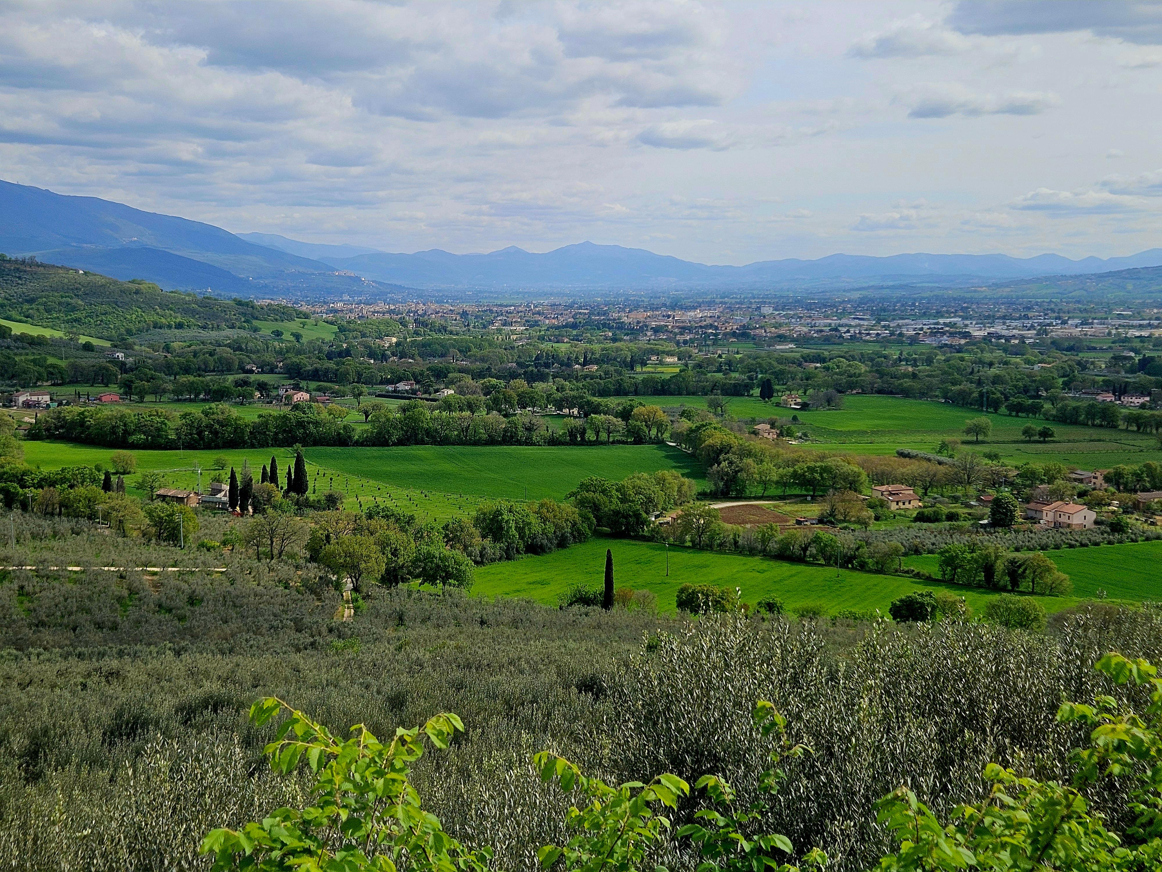fabulous view