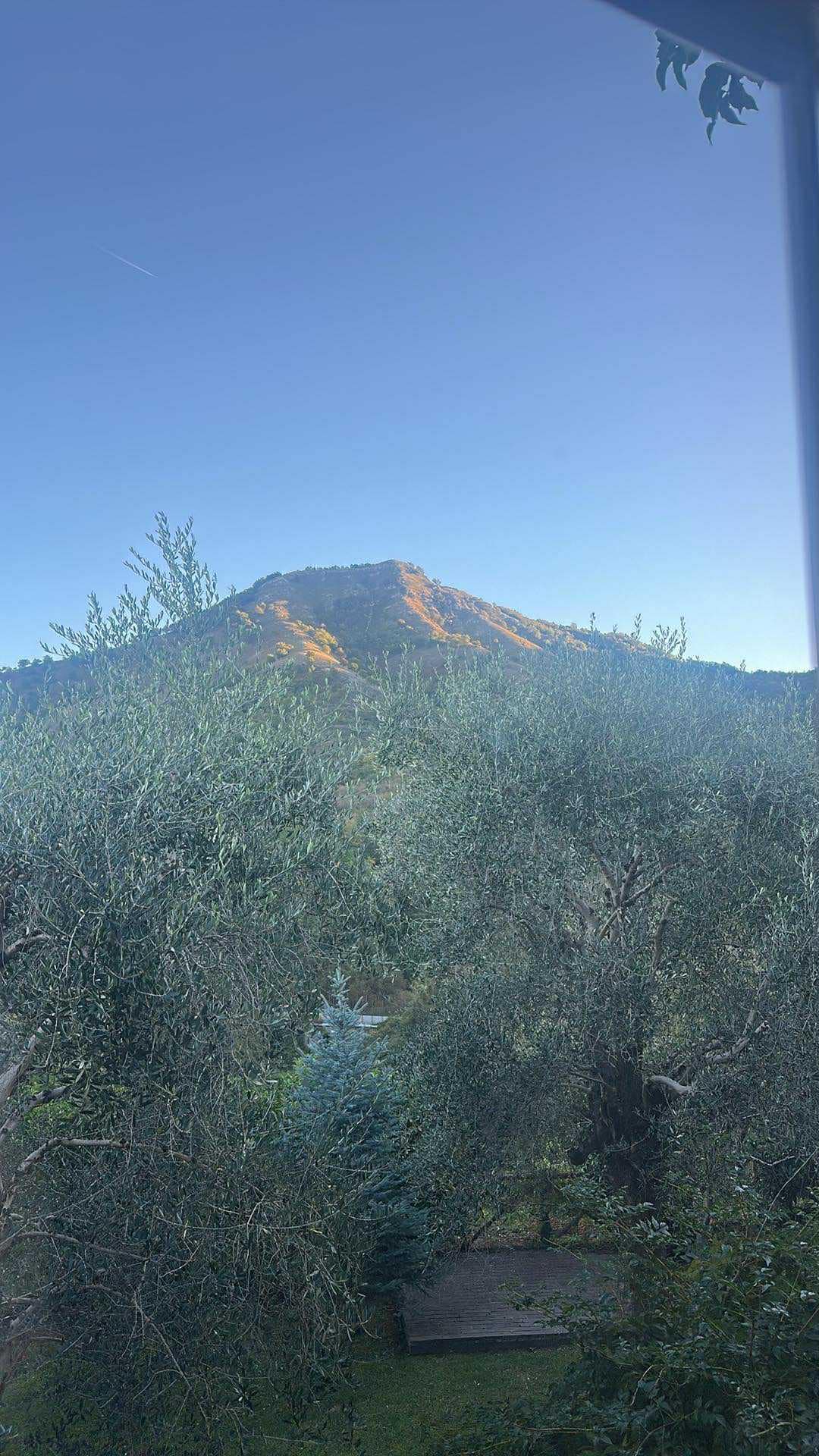 View from our room in the morning 