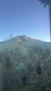 View from our room in the morning