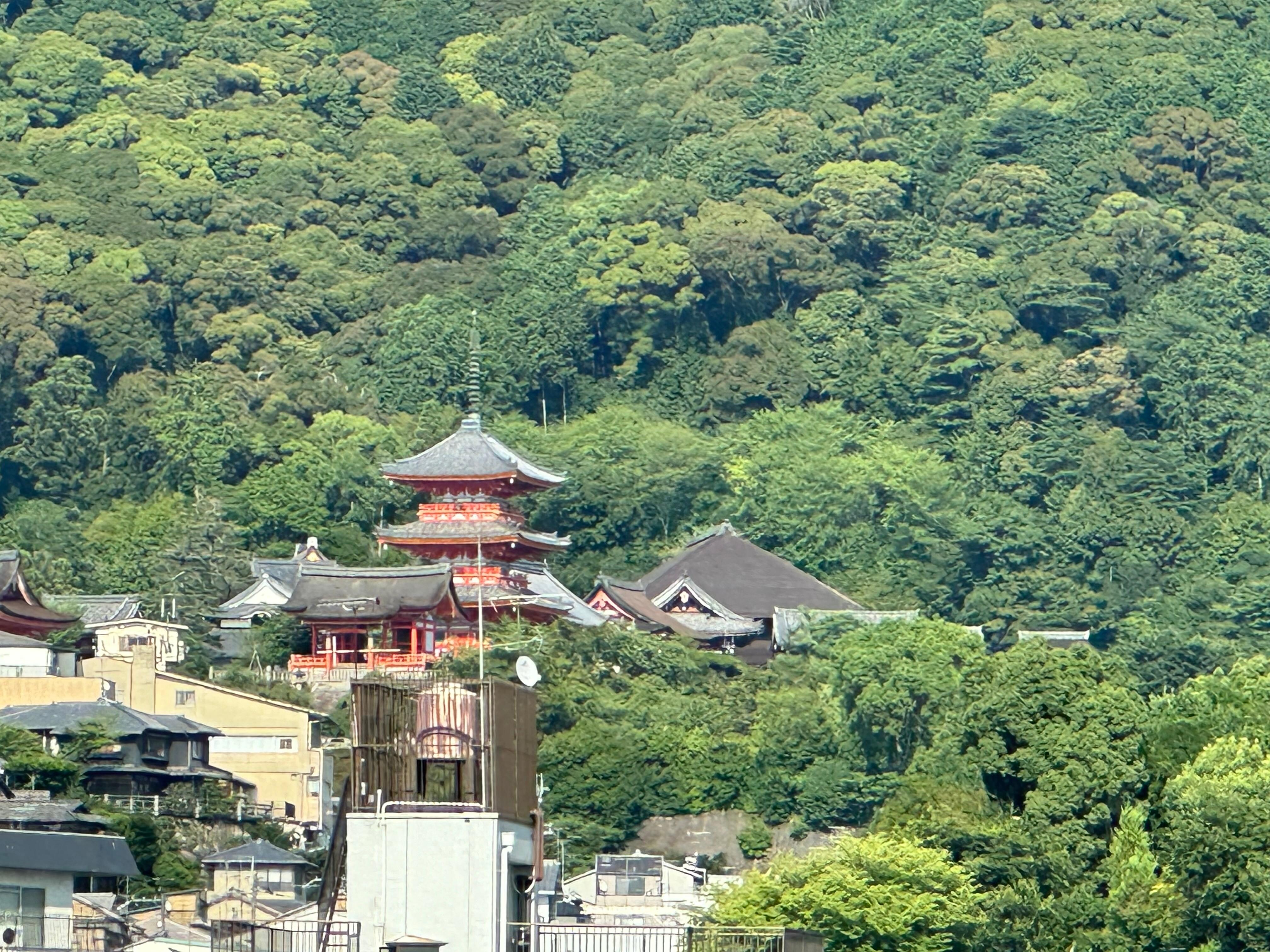 View from room