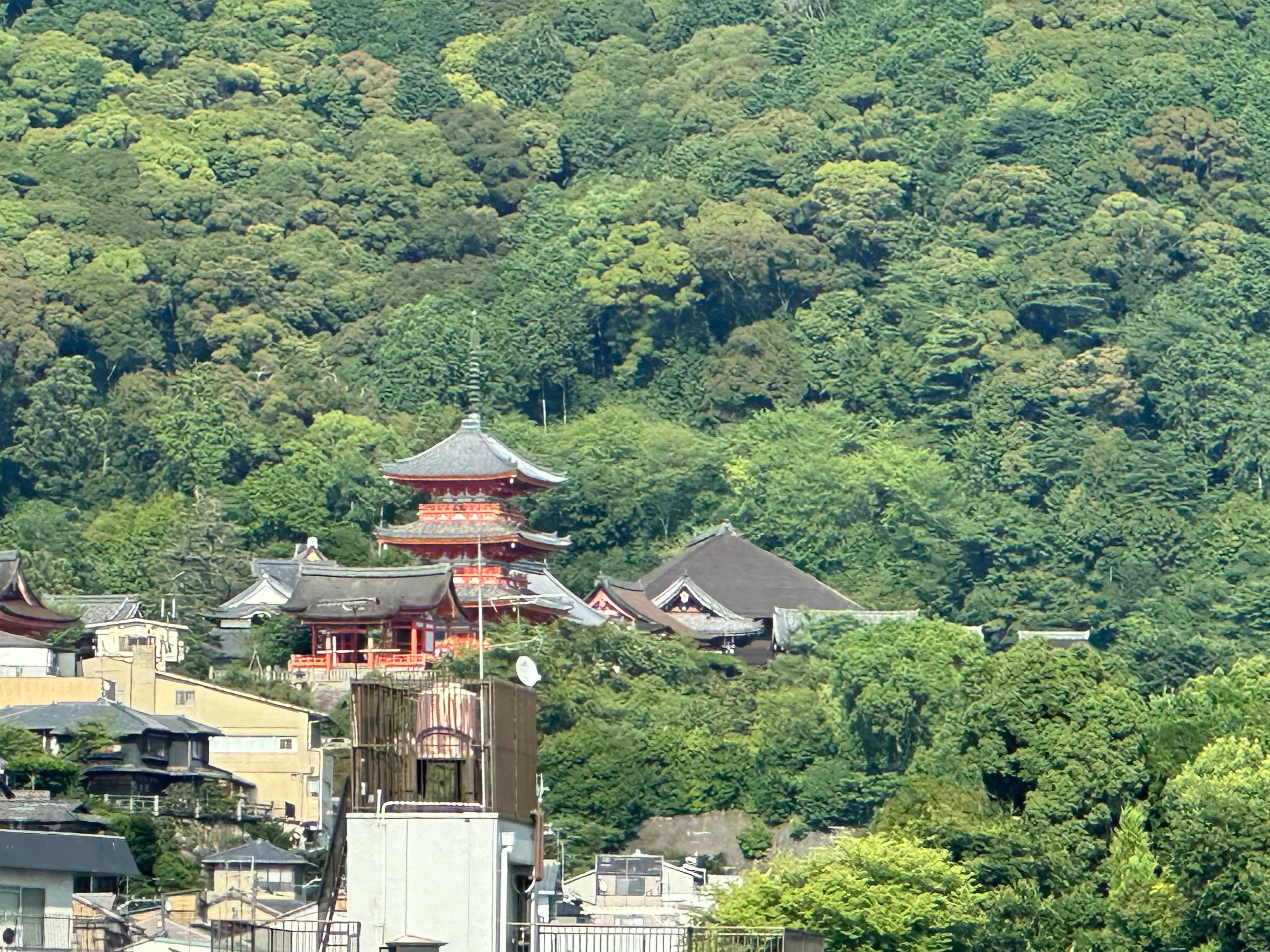 View from room
