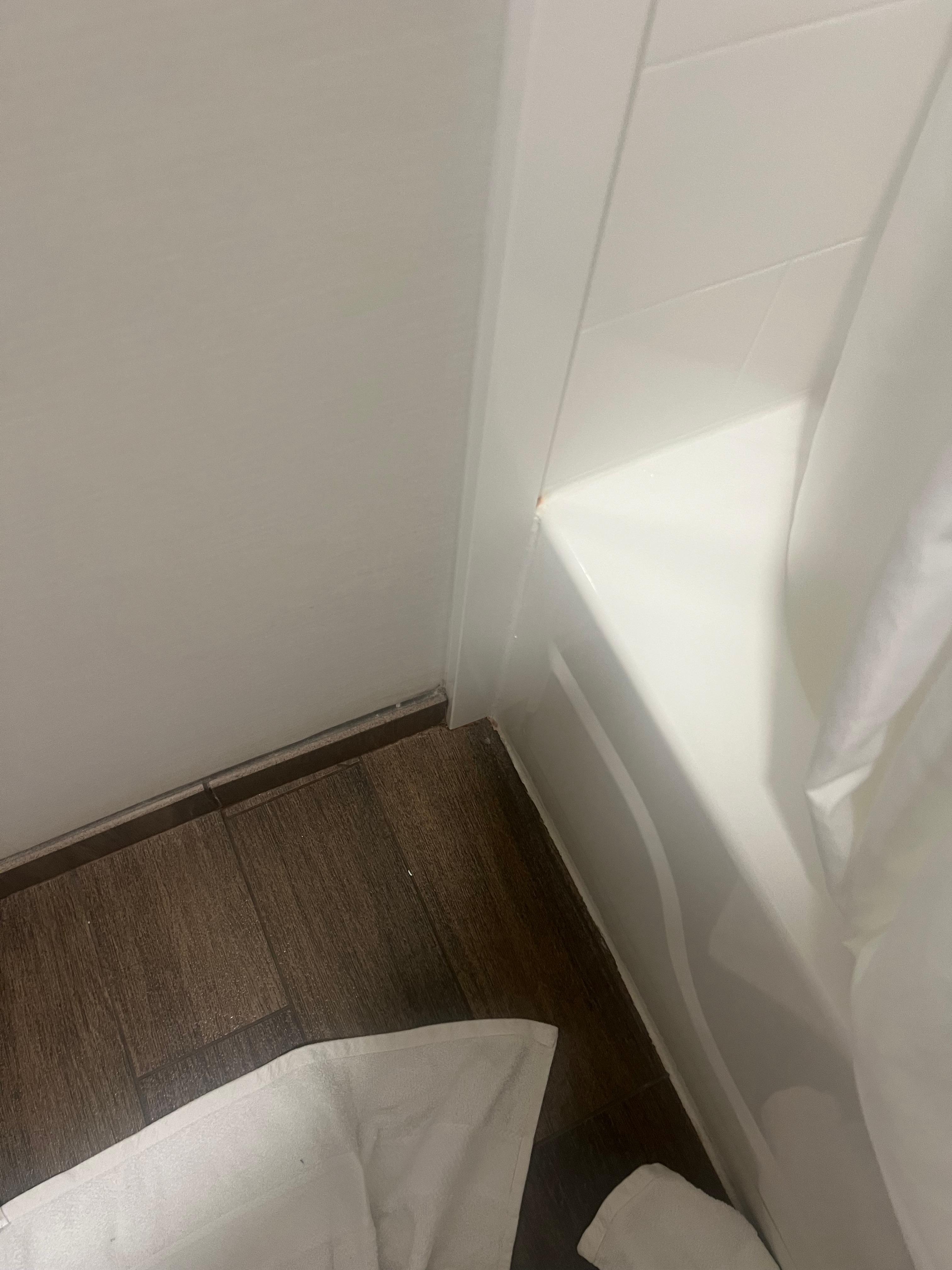 Pink mold corner of tub