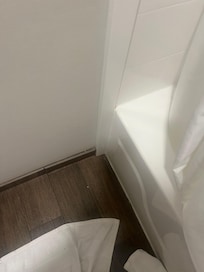 Pink mold corner of tub