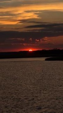 Sunset dolphin cruise