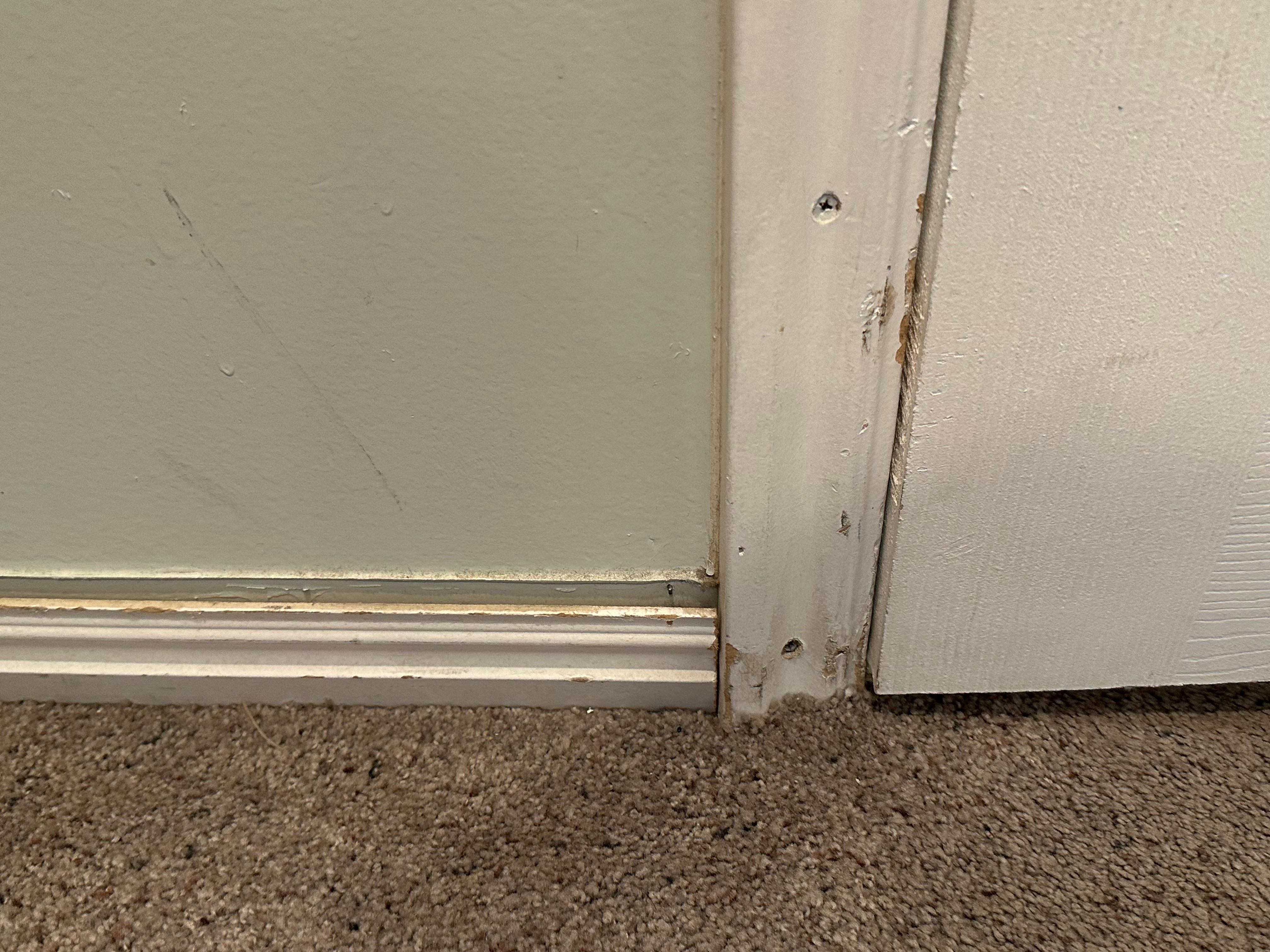 trim in master br - typical throughout back of house