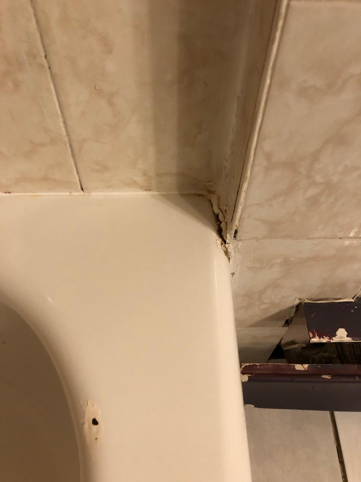 Tub mold