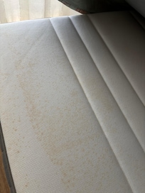 mildew on mattress