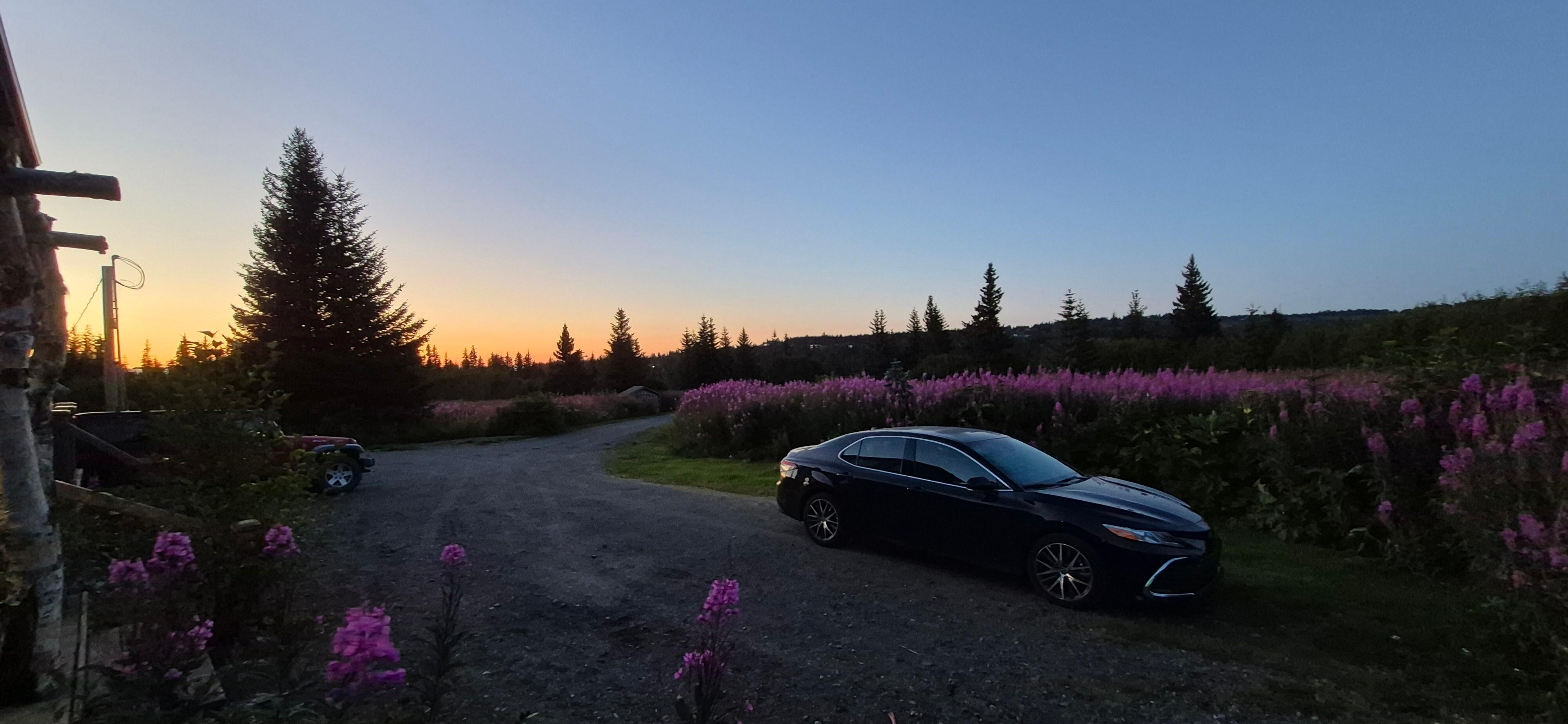 View from the driveway!