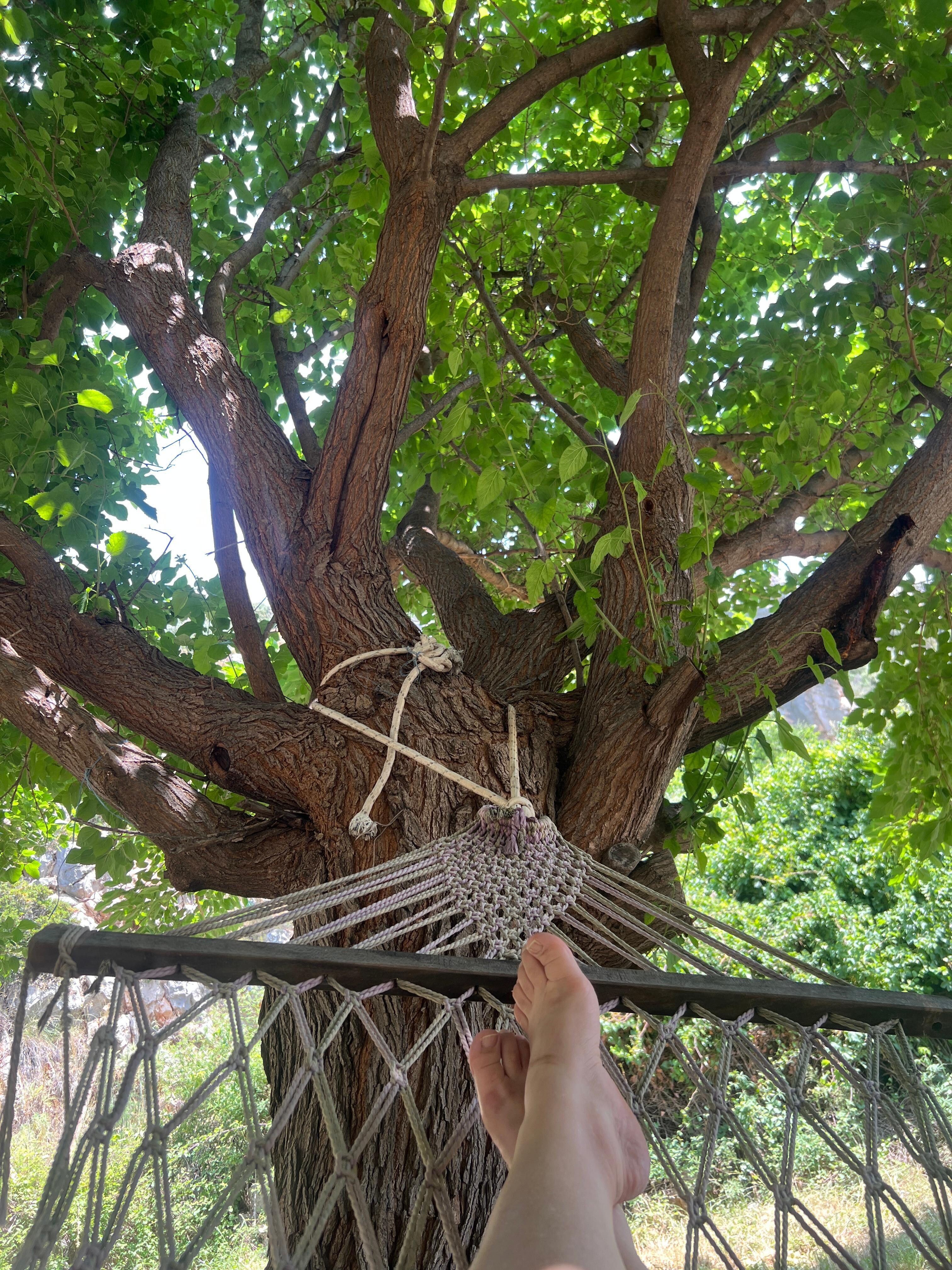 En güzel yer bu hamak
