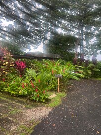 Gorgeous garden