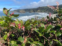 Trinidad Beach