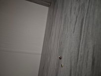 Nüsse im Kleiderschrank