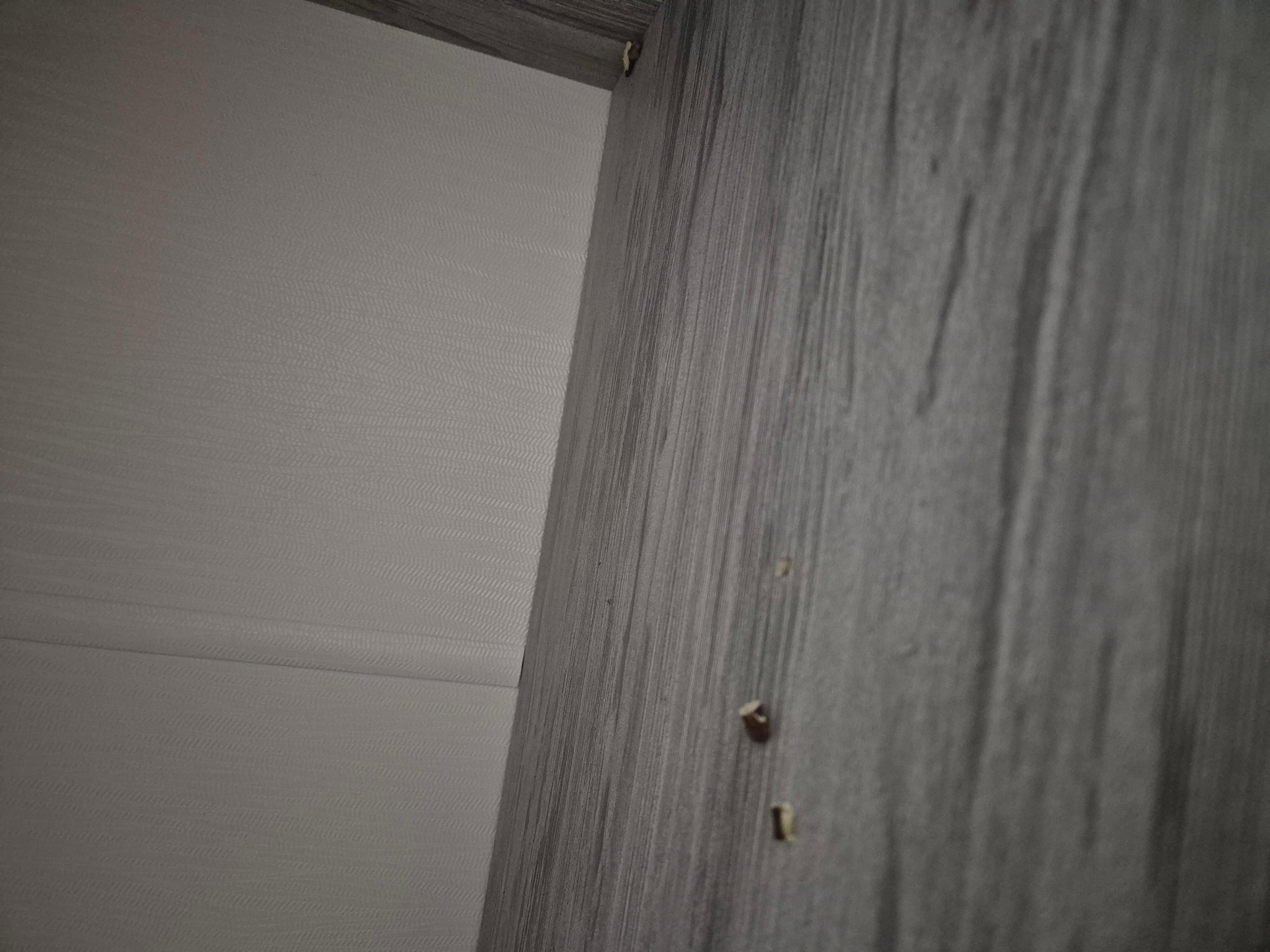 Nüsse im Kleiderschrank