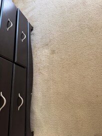 Stains on the carpet