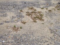 Parking out front door, whole place thousands of cigarette butt's, dirty old bottles and beer cans, disgusting