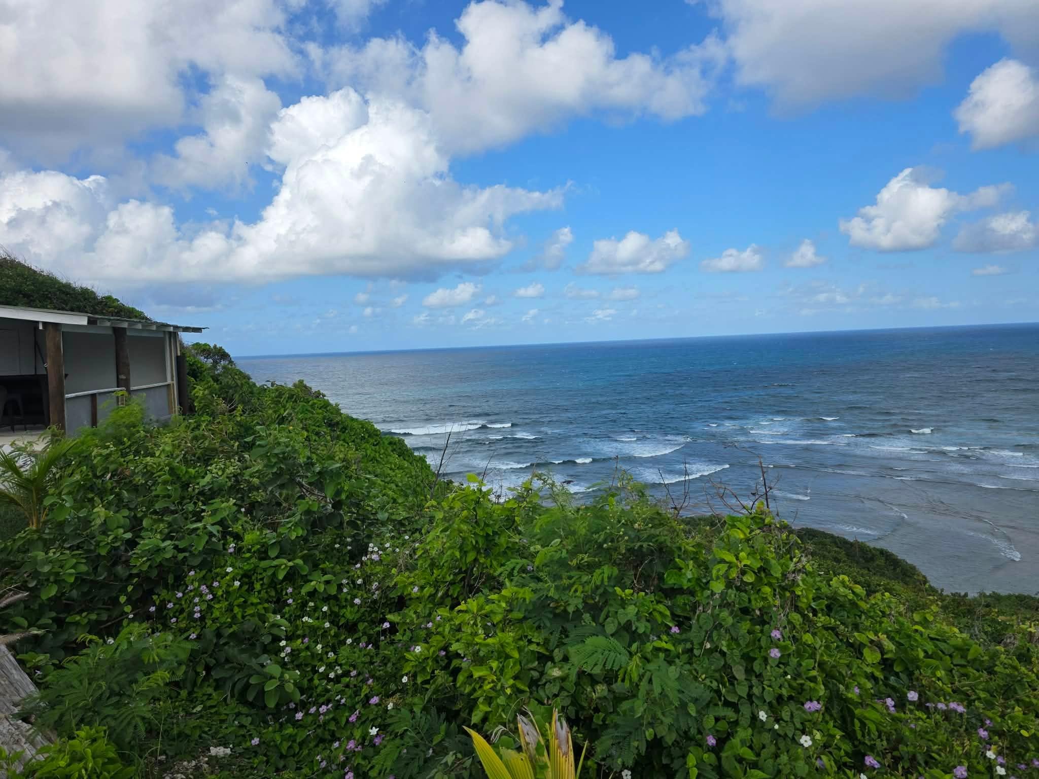 The view up the coast