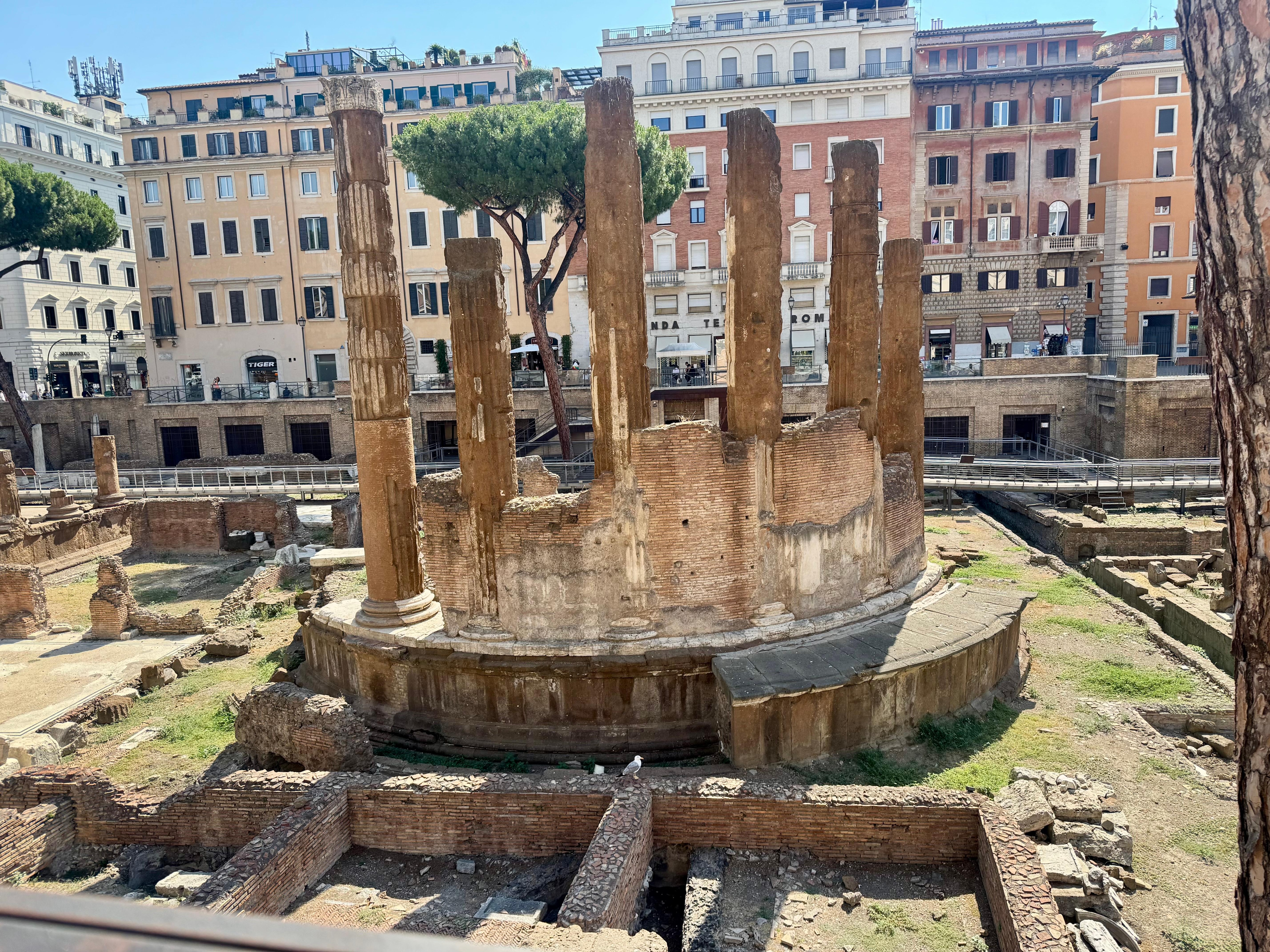 The hotel is across from the Largo di Torre Argentina, which holds the
remains of four temples and the Theatre and Curia of Pompey, where Julius Caesar was assassinated.