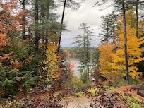 View from Oak room.