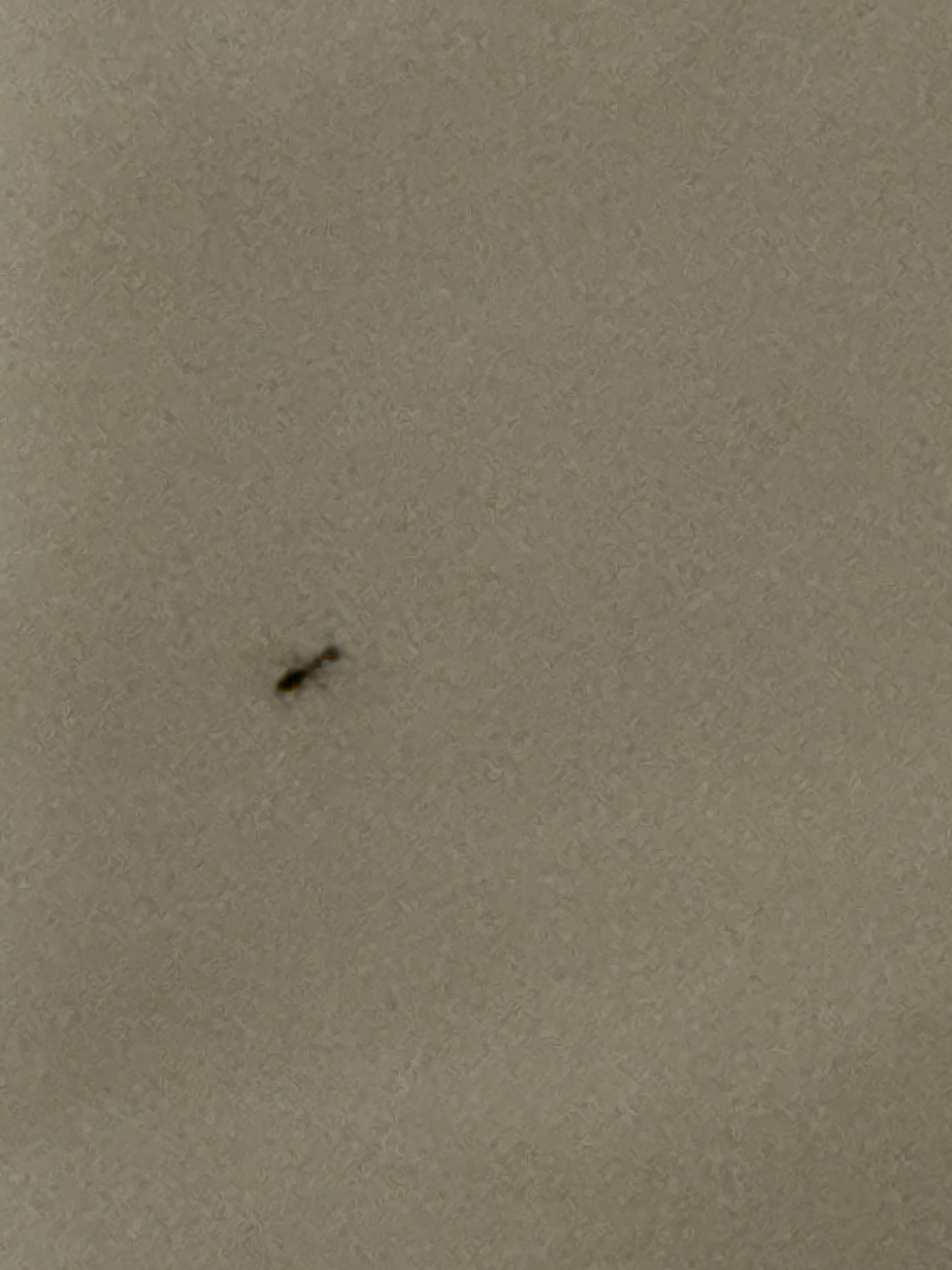 These are all over the room.