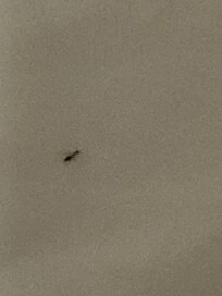 These are all over the room.