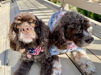 Grateful to not hear one firework!