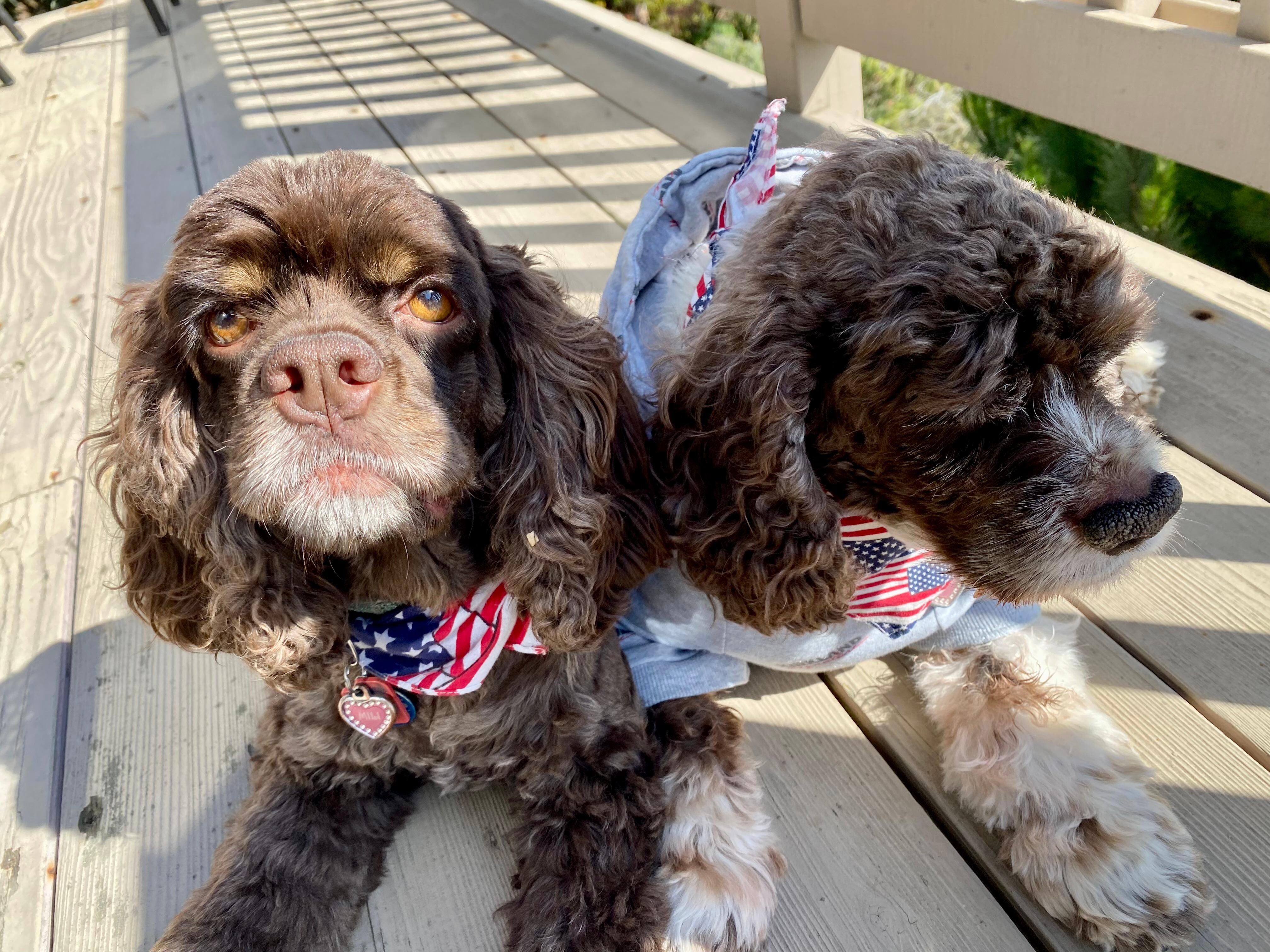 Grateful to not hear one firework!