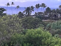 View from our lanai zoomed in a little