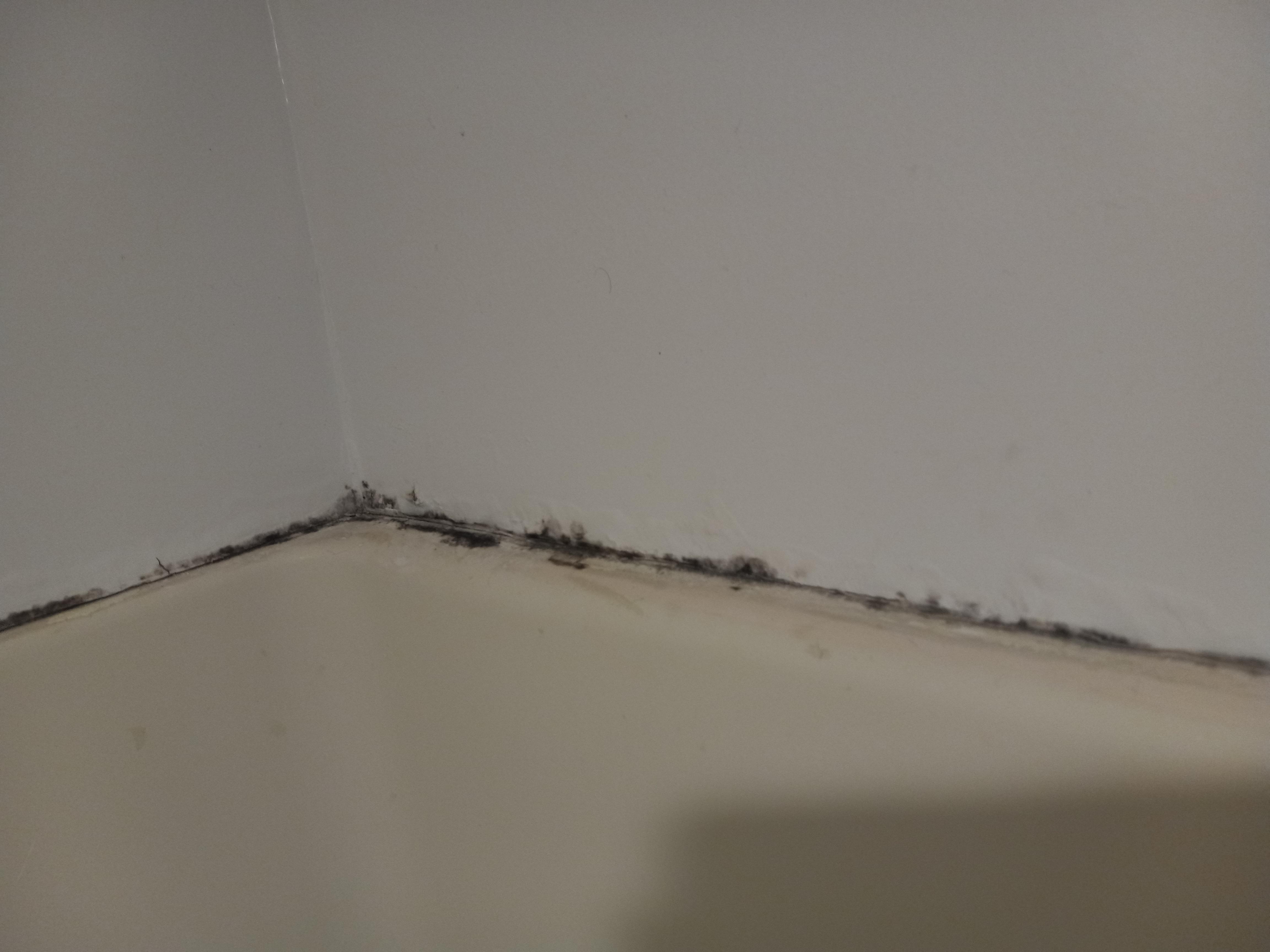 Black mold in the bathroom