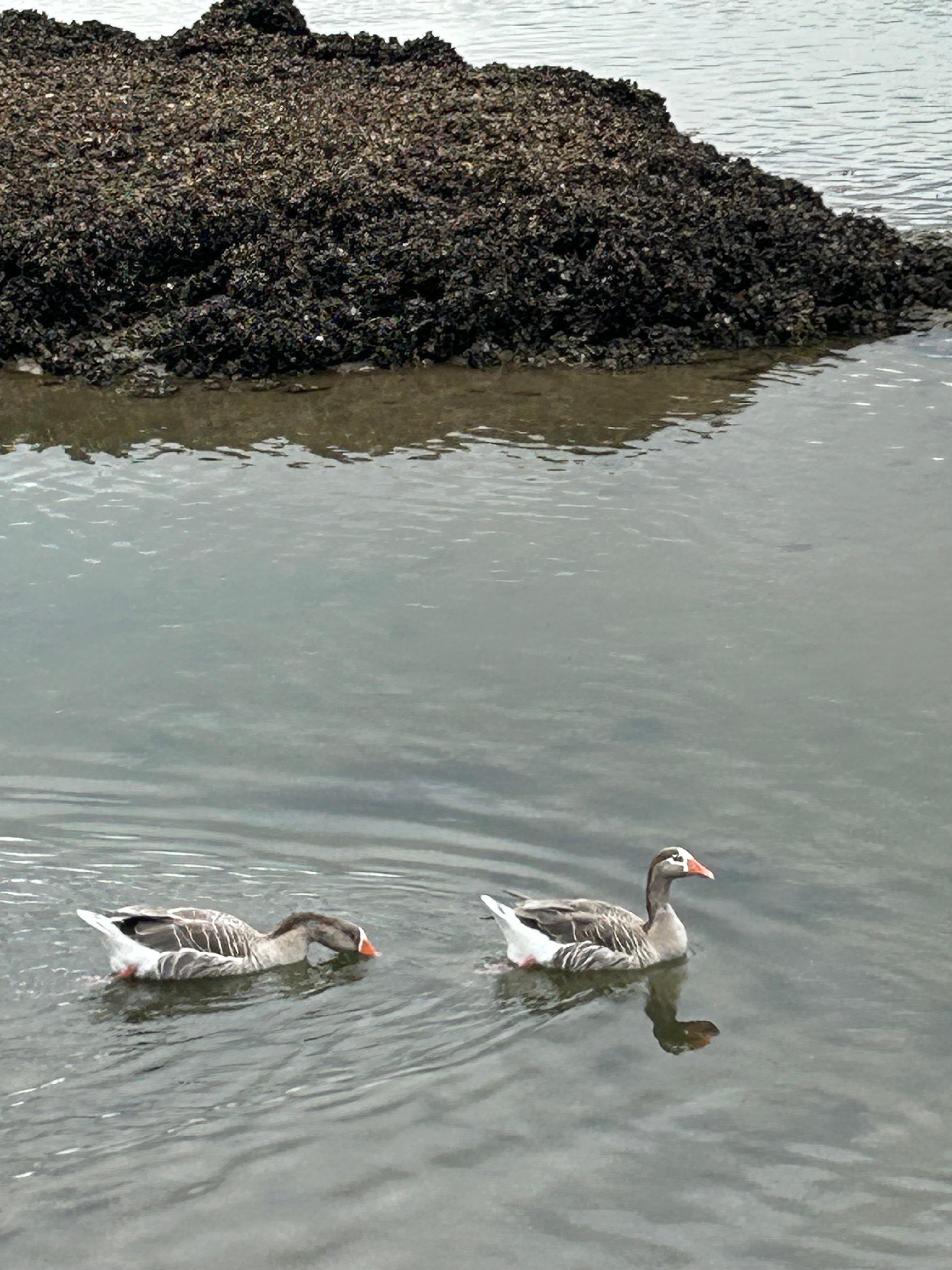 Views from the villa jetty 