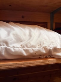 Mouse droppings on the dish drainer