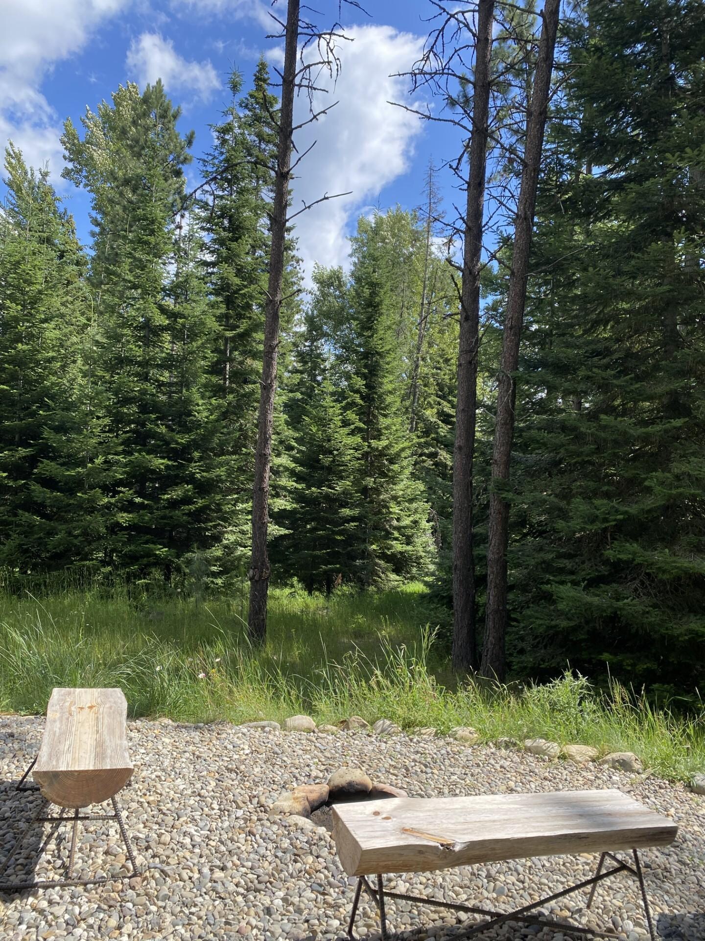 Front porch view of the meadow