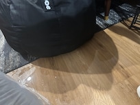 Ruined my bean bag chair, had to throw it out