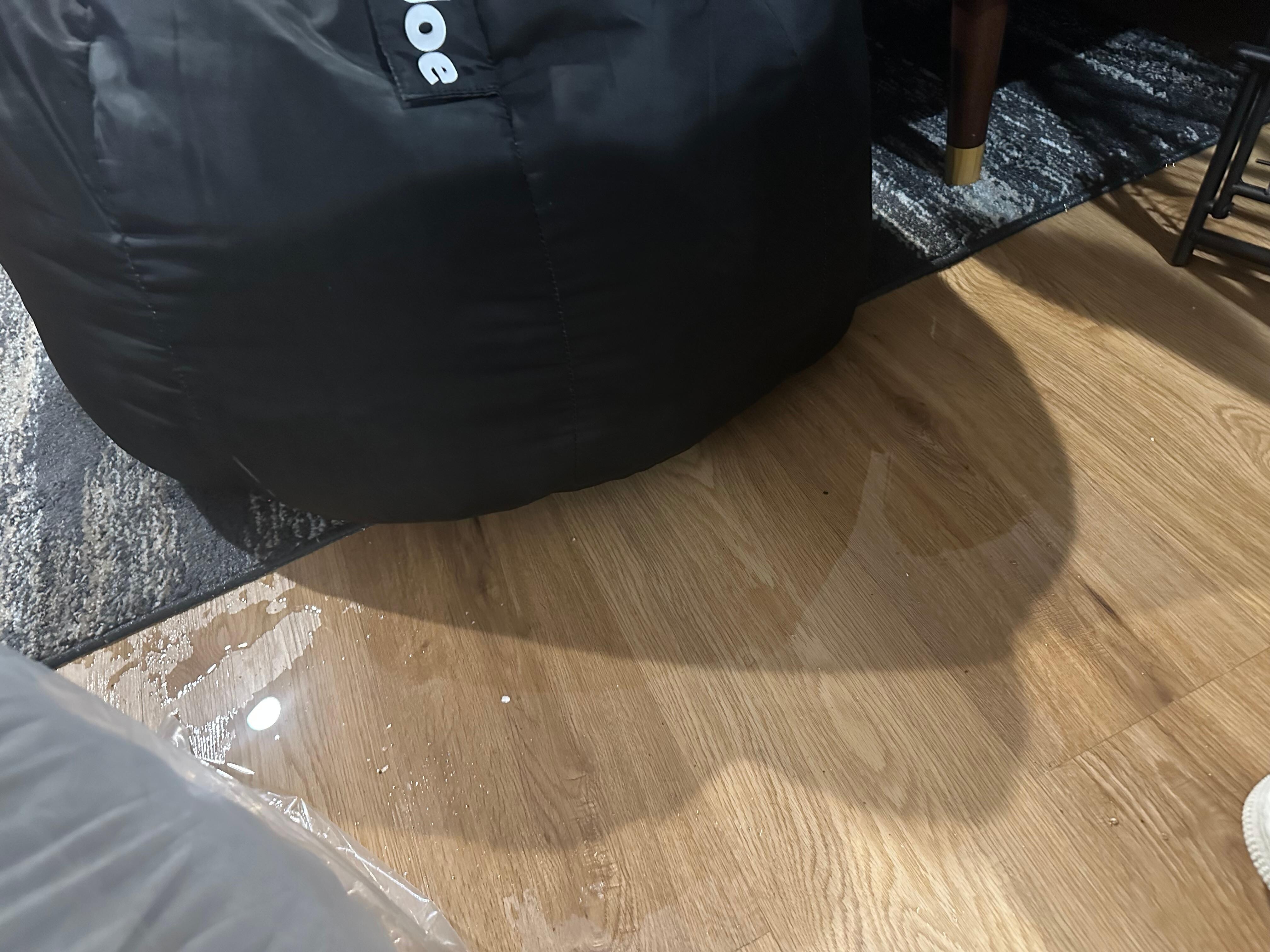 Ruined my bean bag chair, had to throw it out