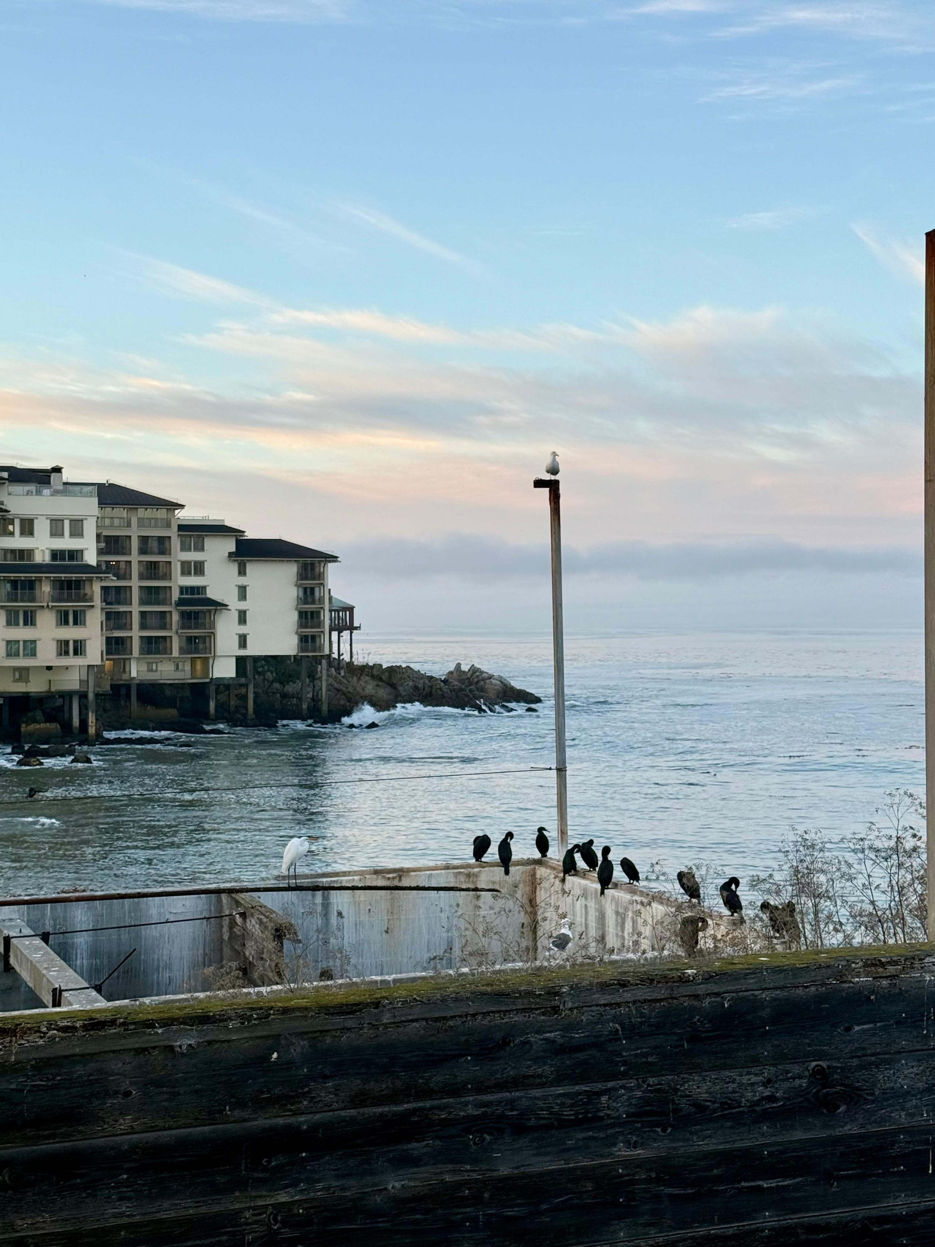 Perfect view from Room 