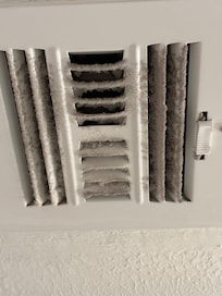 1 of all the air vents that are never being cleaned.