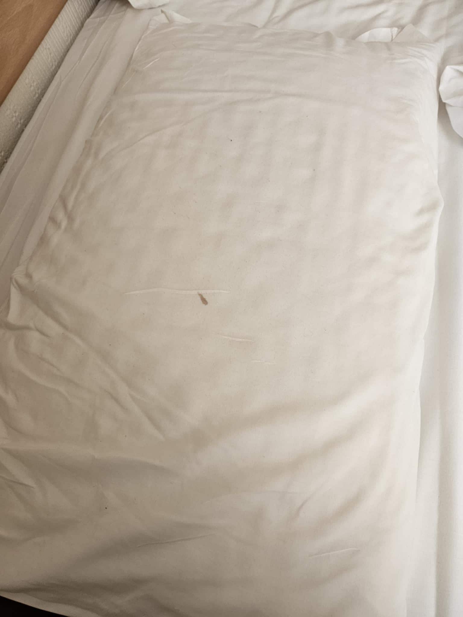 All the pillows were stained by usage and none had protective clean pillow cases. I arrived too tired and late to check the bed before immediately going to bed after a shower.  didn't discover the state of them until the morning, I had slept on that!