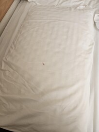 All the pillows were stained by usage and none had protective clean pillow cases. I arrived too tired and late to check the bed before immediately going to bed after a shower. didn't discover the state of them until the morning, I had slept on that!