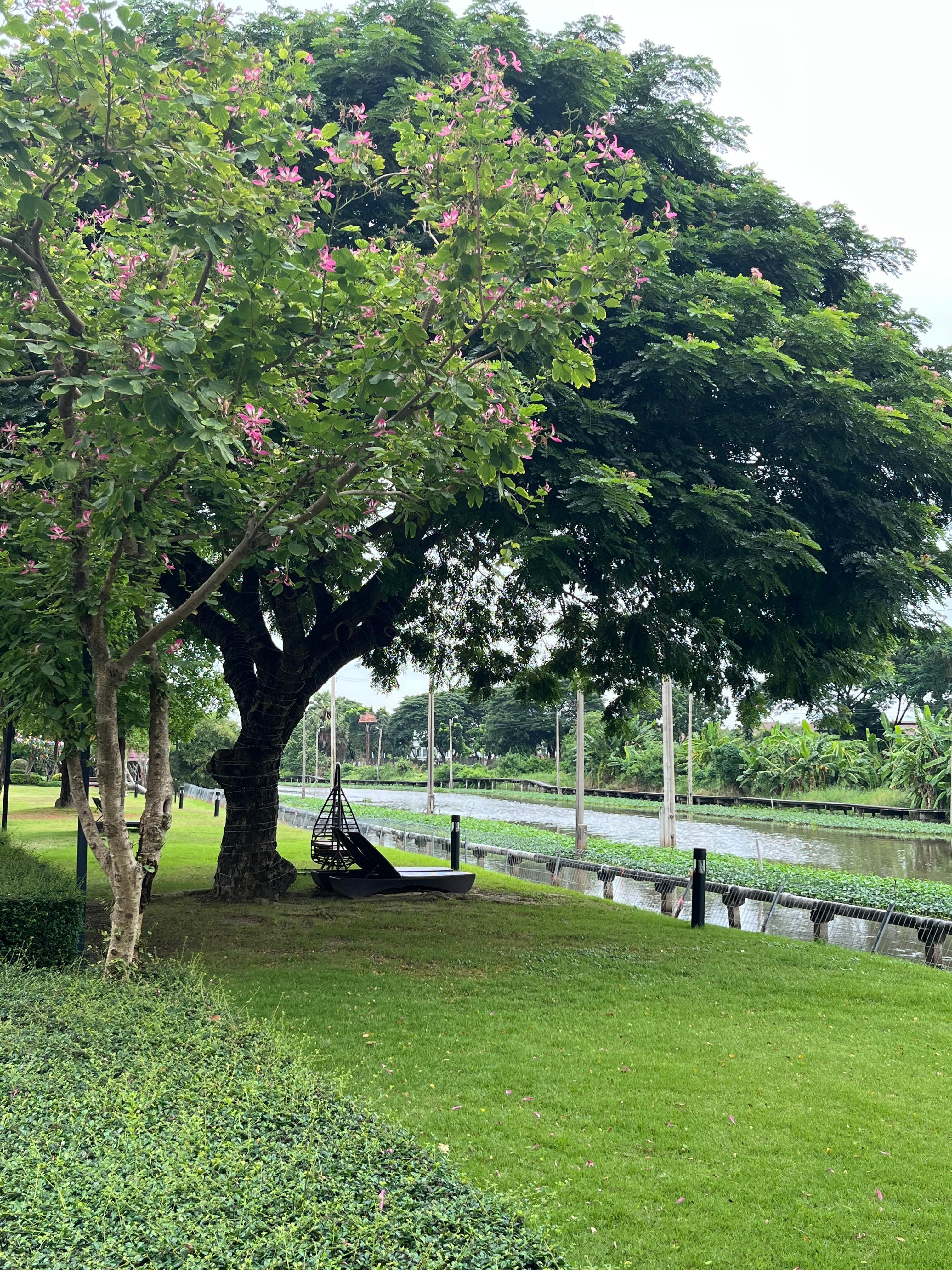 Swing chair by canal