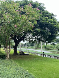 Swing chair by canal